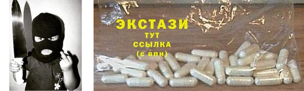 СК Пересвет
