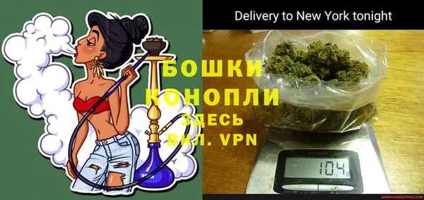 СК Пересвет