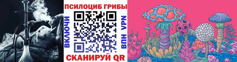 mega рабочий сайт дарнет шоп Аксай Галлюциногенные грибы Magic Shrooms